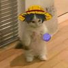 yael_onepiece5