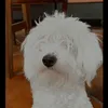 noemarmon2