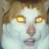 lilderp123