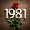 1981hanan