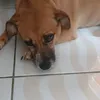 regina_nogueira1
