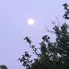 emelki_0