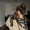 monster_moose