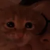 theemiiis