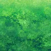 green28_210