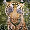 solonava