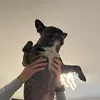 georgethelegend69