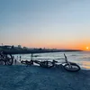 muse_27
