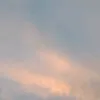 y.jsrien_