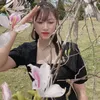Trần Nhung
