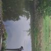 kolam10_