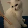 xuaninyuez_