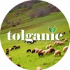 tolganic