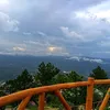 quynh16040