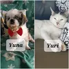 yuri_pawmily4