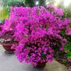 userw6eqdotp9i