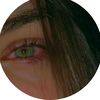 tayma236