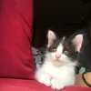 nurmiumiunatasha