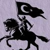 aslan.1453