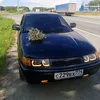 dimasta909
