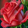 zxcvbnm88440088