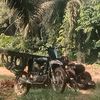 bngjeck221