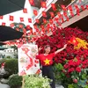 nguyenthithu.trang84