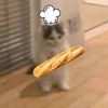 pan_con_ques0xdd