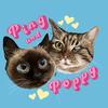 pingandpoppy