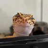 domi_zip