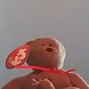 bobcravesdeath