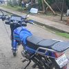 anibalsalazarp
