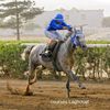 Horse racing