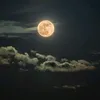 urvivnona_