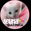 selina_gatinha