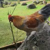 kekwlolhue
