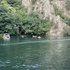 gyulay1980