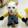 xxyz.khyy