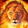 lionheartforyou