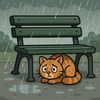 straycatinrain