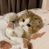 tindosaurieng
