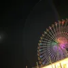 kumakuma254