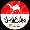 مزاين الابل