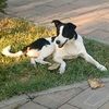 KETI