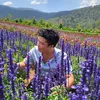 khanhmaile