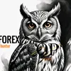 sjad_fx__0