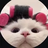 chupapipunhanho28