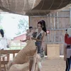 phamtruongatien