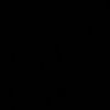 aleynacetinr
