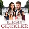 kirgincicekler_andeli